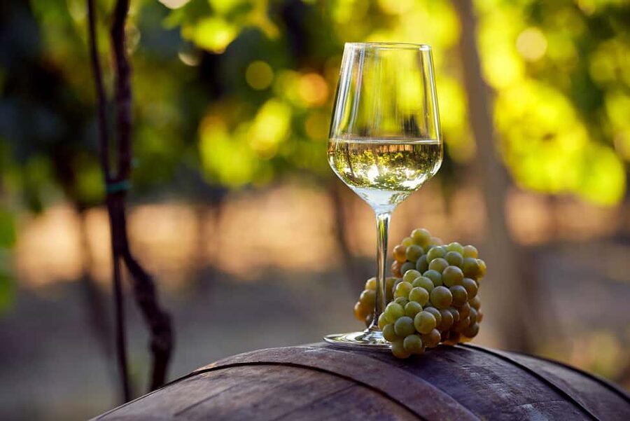 Alicante: Historic Winery Guided Tour + Wine Tasting / Private Transportation - Why This Alicante Winery Tour Feels Worth Your Time