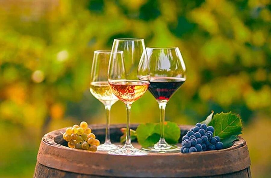 Alicante: Old Winery Tour & Wine Tasting including transfer - Key things I’d mark on your map