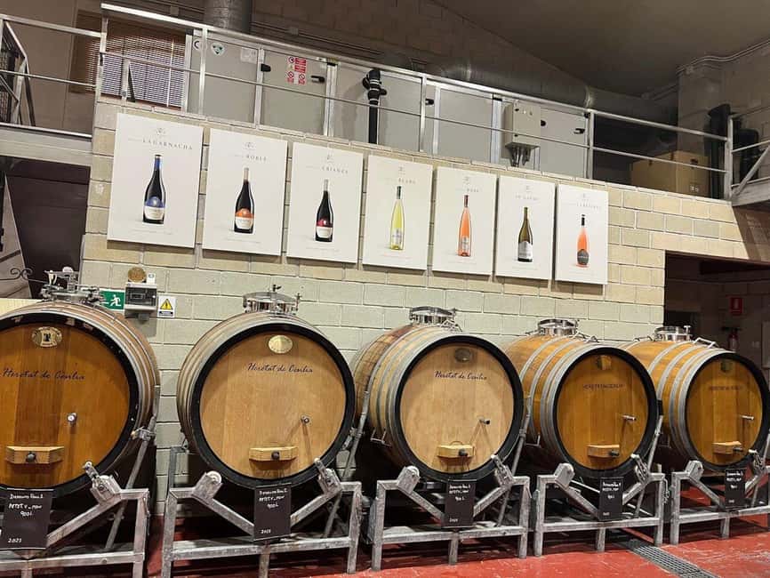 Alicante: Old Winery Tour & Wine Tasting including transfer - Old Winery in Alicante: What Makes This Feel Worth Your Time