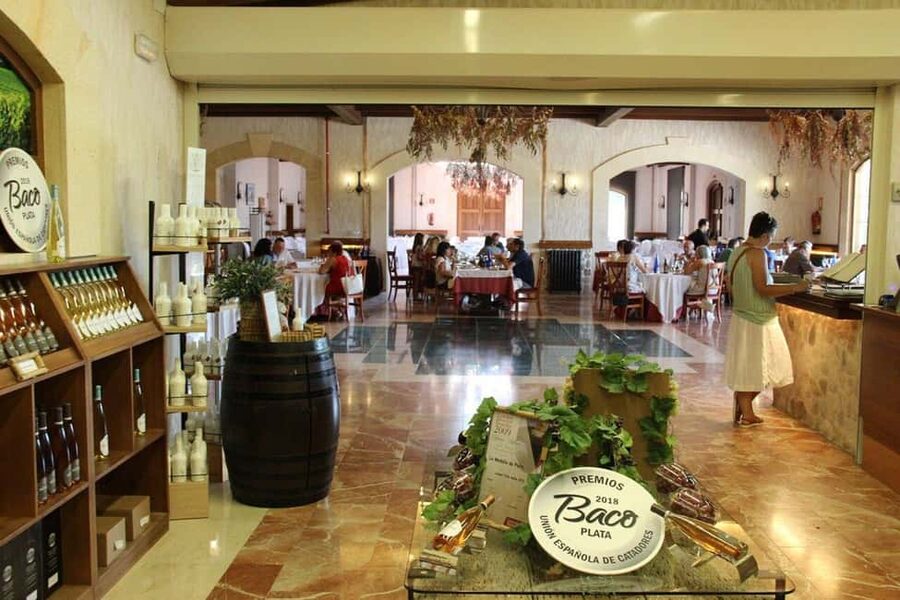 Alicante: Old Winery Tour & Wine Tasting including transfer - Vineyard-to-Bottle Wine Tasting: White, Rosé, Red With Real Guidance