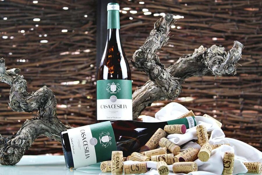 Alicante: Old Winery Tour & Wine Tasting including transfer - The Guide-Driver Factor: Smooth Timing and Extra Stops