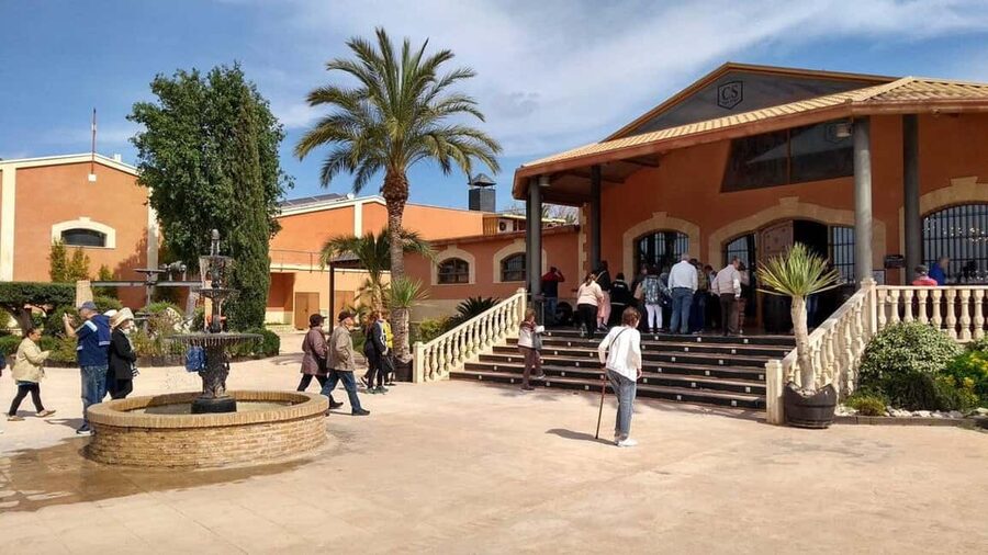Alicante: Old Winery Tour & Wine Tasting including transfer - Who Should Book This Tour (and Who Might Not Love It)