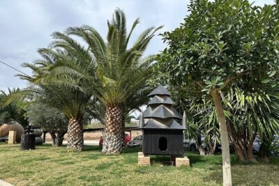 Alicante: Old Winery with Tastings & Gaudí's style of Church - From Alicante pickup to the vineyards: a short ride that matters