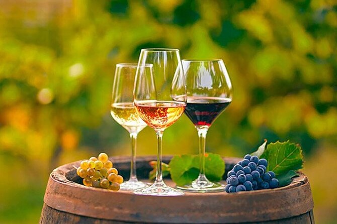 Alicante: Old Winery with Tastings & Gaudí's style of Church - Who This Tour Is Best For (And Who Might Want Something Different)
