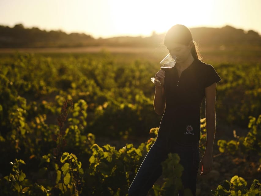 Alicante (Pinoso): Tour Experience Back from the Vineyard to the glass - Vineyard time: the fruit behind the bottle