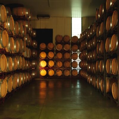 Alicante (Pinoso): Tour Experience Back from the Vineyard to the glass - Volver in the Alicante area: why this winery visit matters
