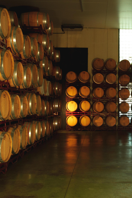Alicante (Pinoso): Tour Experience Back from the Vineyard to the glass - Tasting four wines with local pairings: how to taste smarter