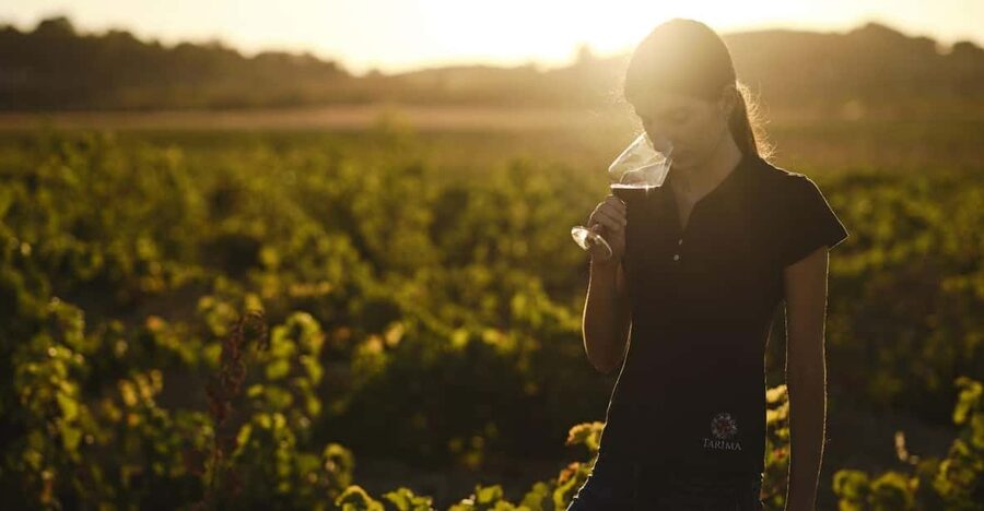 Alicante (Pinoso): Tour Experience Back from the Vineyard to the glass - Who should book this tour (and who might skip it)