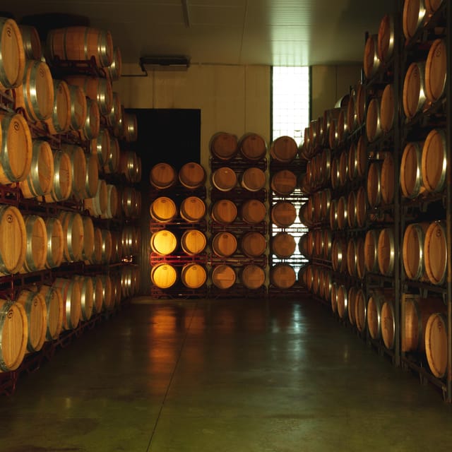 Alicante (Pinoso): Tour Experience Back from the Vineyard to the glass - Volver in the Alicante area: why this winery visit matters