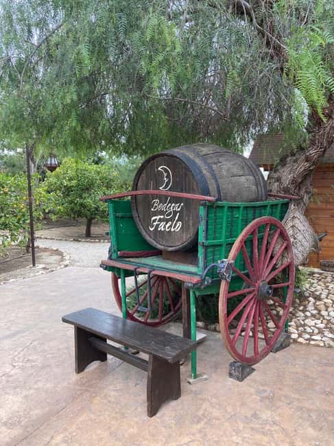 Alicante/Santa Pola -Best winery tour with tasting - Quick hits before you go