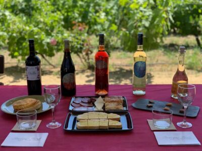 Alicante/Santa Pola -Best winery tour with tasting - The working winery tour: what you’ll actually see