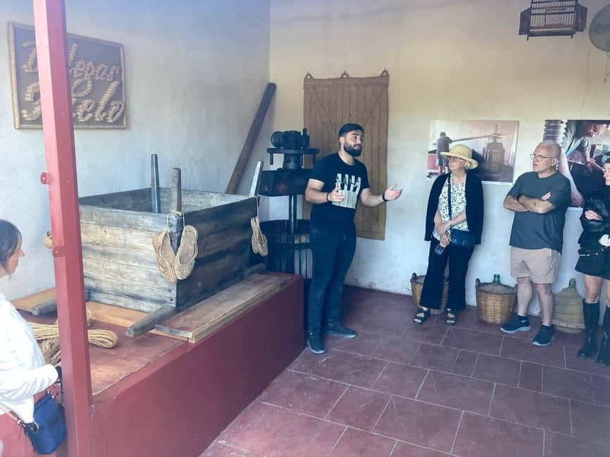 Alicante/Santa Pola -Best winery tour with tasting - Transfer timing and pacing: how the day flows