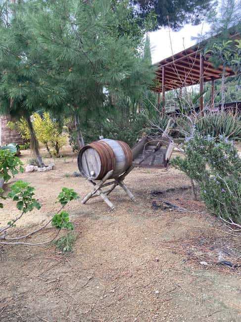 Alicante/Santa Pola -Best winery tour with tasting - Final verdict: should you book this Alicante/Santa Pola winery tour?