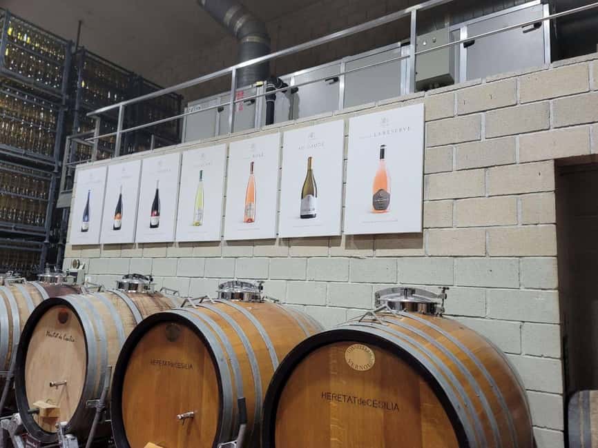 Alicante:Winery Tour+ Wine Tasting + Old castle - Key highlights you’ll feel on the day