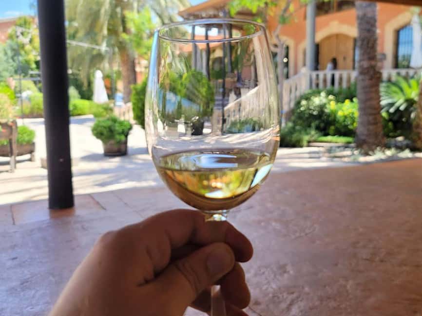 Alicante:Winery Tour+ Wine Tasting + Old castle - First stop: the vineyard and how the work shapes the wine