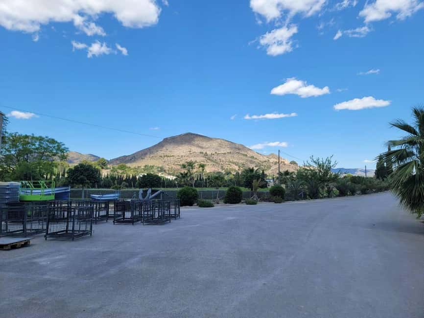Alicante:Winery Tour+ Wine Tasting + Old castle - What to bring (and what the tour asks you to avoid)