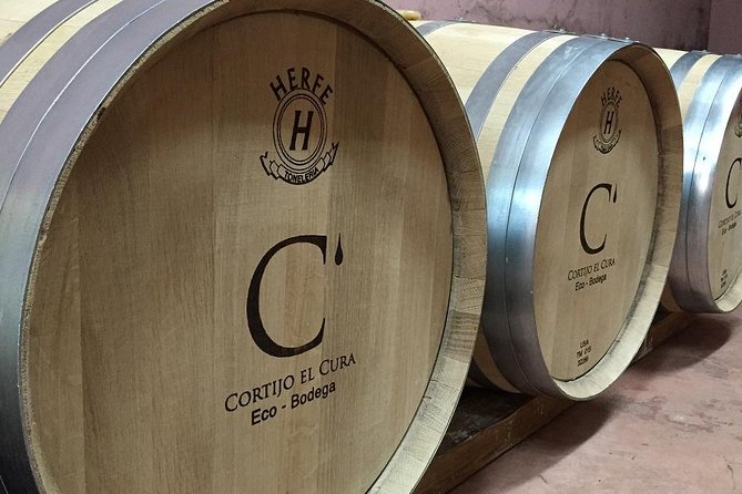 Almería Visit to Eco Winery Cortijo El Cura and wine tasting - Key Highlights You’ll Care About