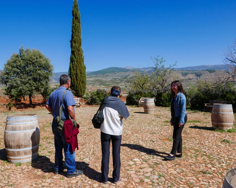 Almería: Wine tour and tasting in Organic Winery - Cortijo El Cura: what makes this Almería wine tour feel real
