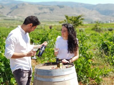 Almería: Wine tour and tasting in Organic Winery - Starting point outside Laujar: arriving at the eco-bodega among vines