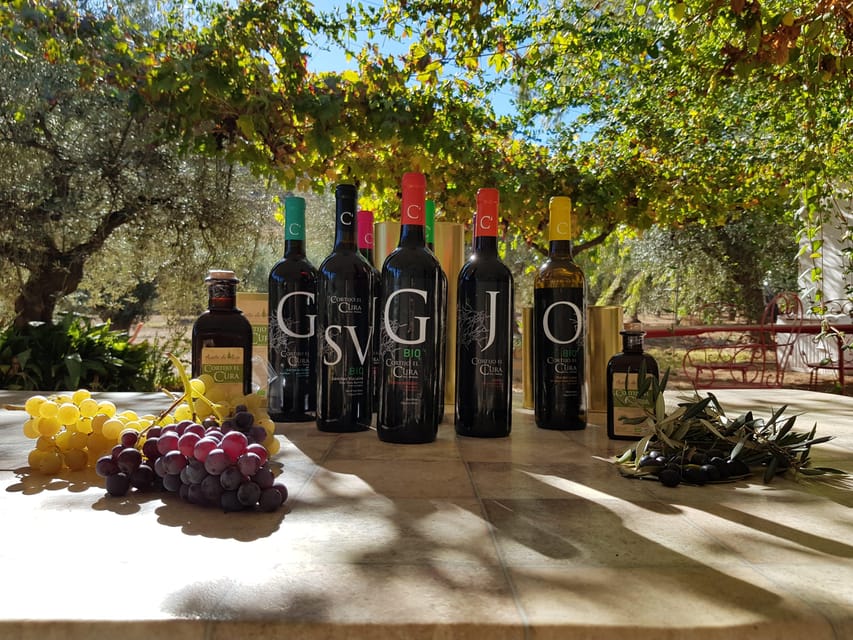 Almería: Wine tour and tasting in Organic Winery - Winery visit plus the 45-minute tasting: 5 organic wines, with local ingredients