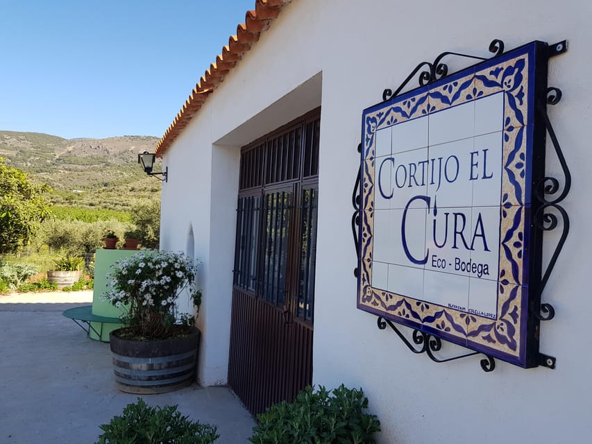 Almería: Wine tour and tasting in Organic Winery - Shopping time: quick souvenirs that actually match what you learned