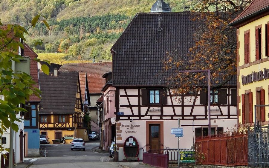 Alsace : Guided winery tour in Alsace - local wine tasting - The tasting moment: how you compare dry, sweet, and sparkling in one go