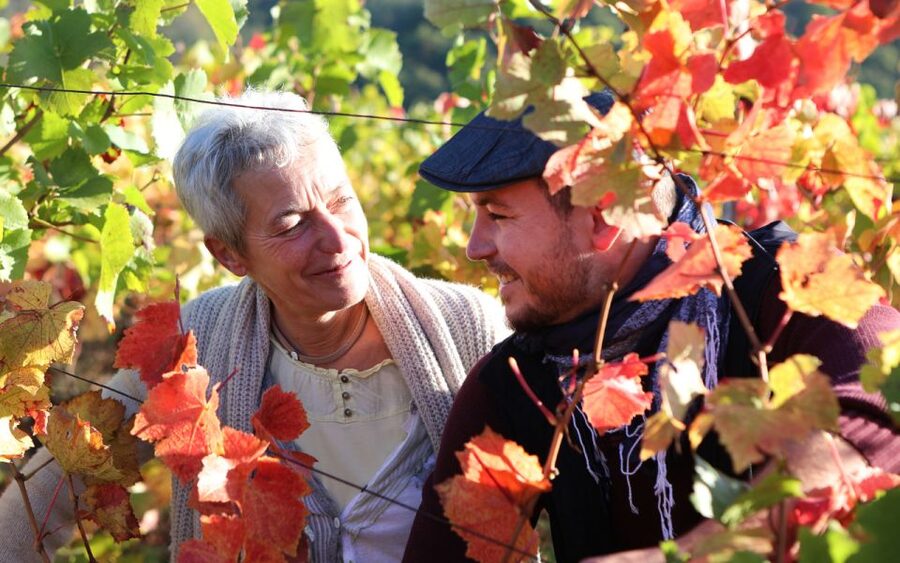 Alsace : Guided winery tour in Alsace - local wine tasting - Wine pairings with pâté, smoked salmon, cheese, and chocolate