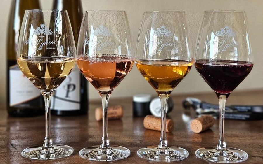 Alsace : Guided winery tour in Alsace - local wine tasting - Price and value: what 12, 15, or 22 euros buys you