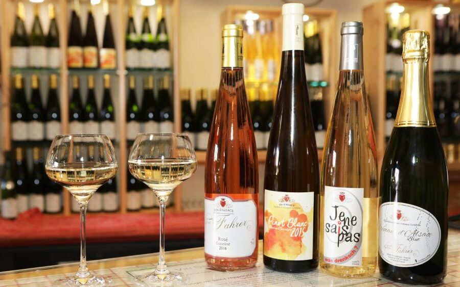 Alsace : Guided winery tour - local wine tasting FRENCH - The Winemaking Walkthrough: Fermentation, maceration, ageing