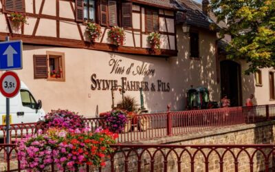 Alsace : Guided winery tour - local wine tasting FRENCH - The Cellar + Underground Tanks: Where the story becomes physical