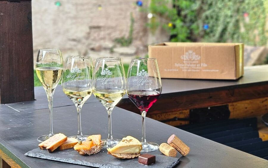 Alsace : Guided winery tour - local wine tasting FRENCH - Three Ways to Do It: Classic tasting, blind glasses, or wine with appetizers