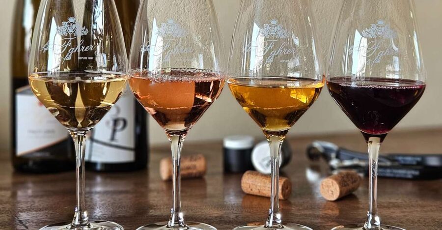 Alsace : Guided winery tour - local wine tasting FRENCH - Who should book this winery tour