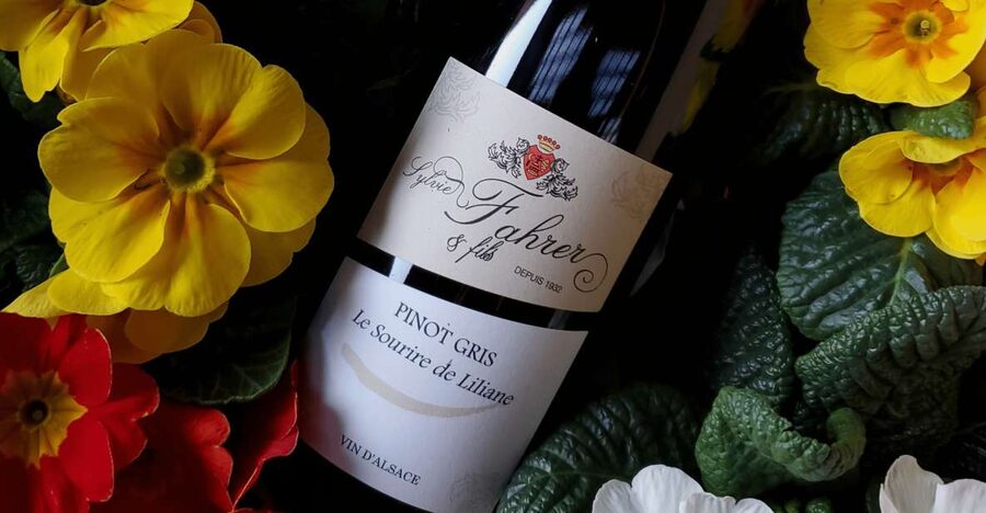Alsace: Winery Tour and Alsatian Wine Tasting - Your 90 minutes: what the tour actually feels like