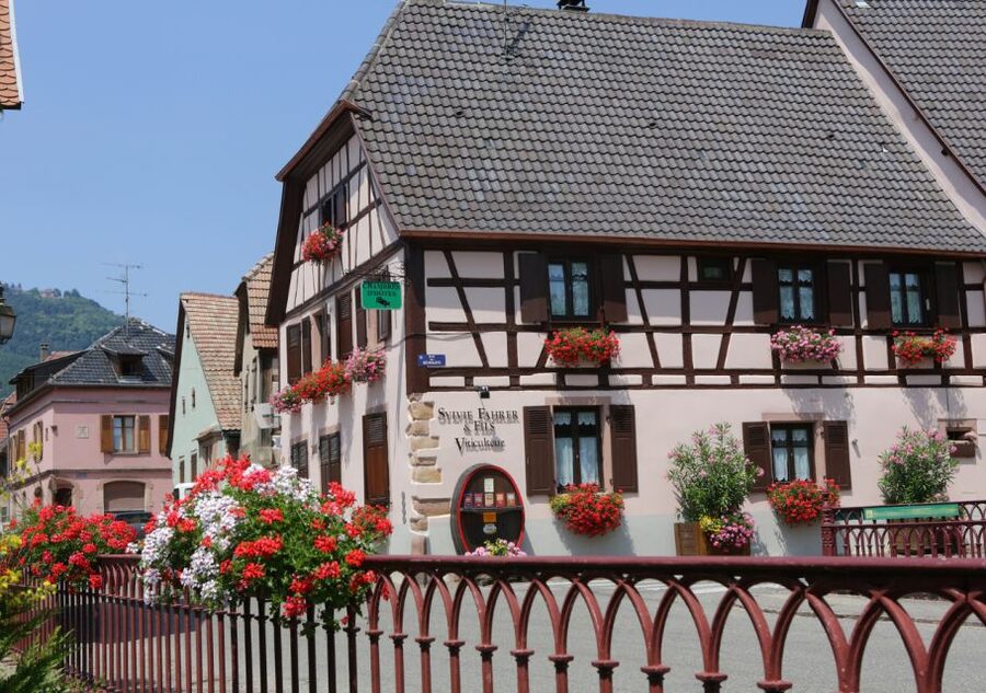 Alsace: Winery Tour and Alsatian Wine Tasting - Three tasting options: pick your vibe and your learning style