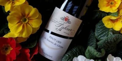 Alsace: Winery Tour and Alsatian Wine Tasting ENGLISH - The cellar walk: where the history and the process meet