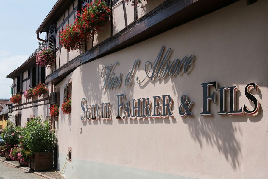 Alsace: Winery Tour & Tasting - What you’re really paying for in this winery visit