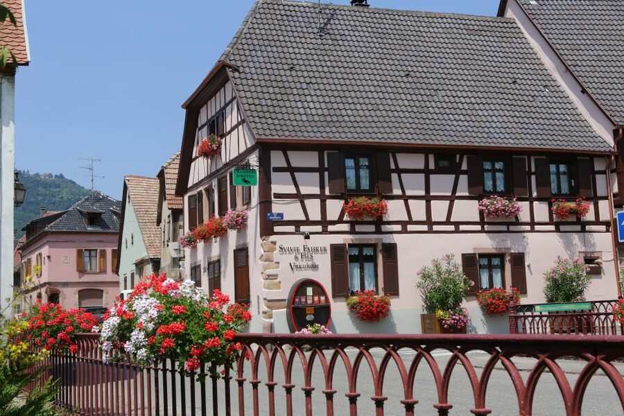 Alsace: Winery Tour & Tasting - Key highlights worth choosing this tour
