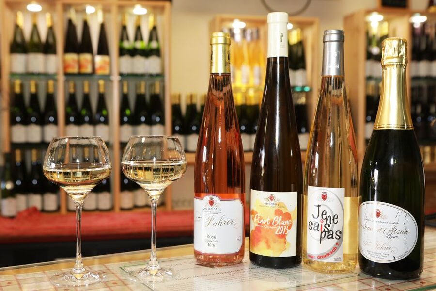 Alsace: Winery Tour & Tasting - Inside the cellar: what you see and what it means for your glass