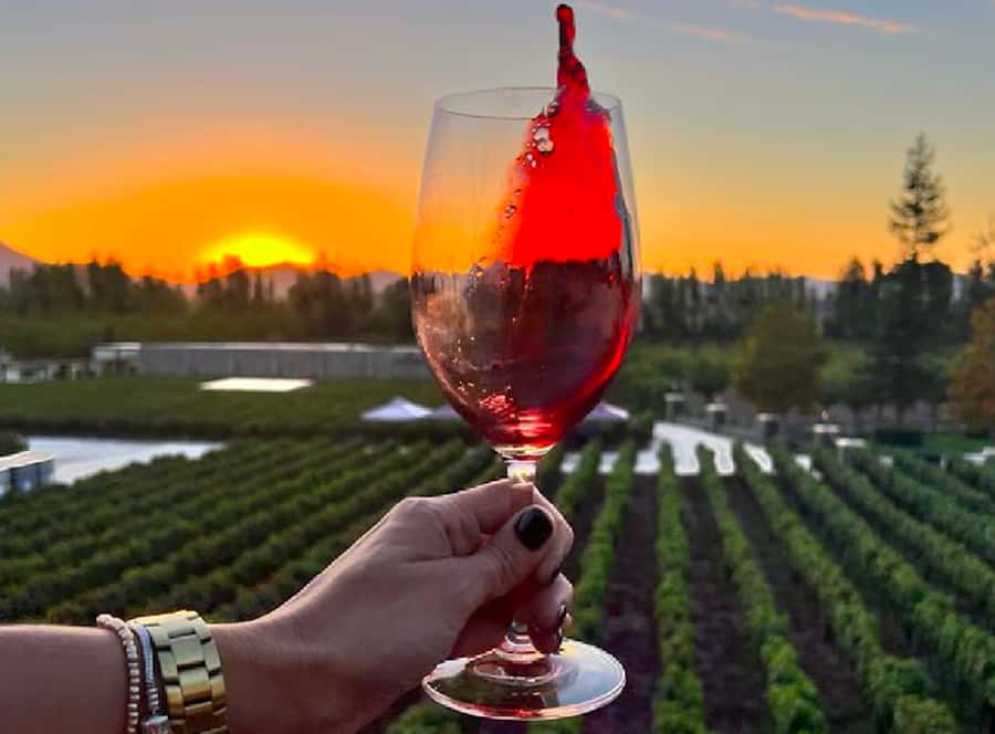 Alyan Family sunset winery - Key Things That Make This Tour Worth Your Time