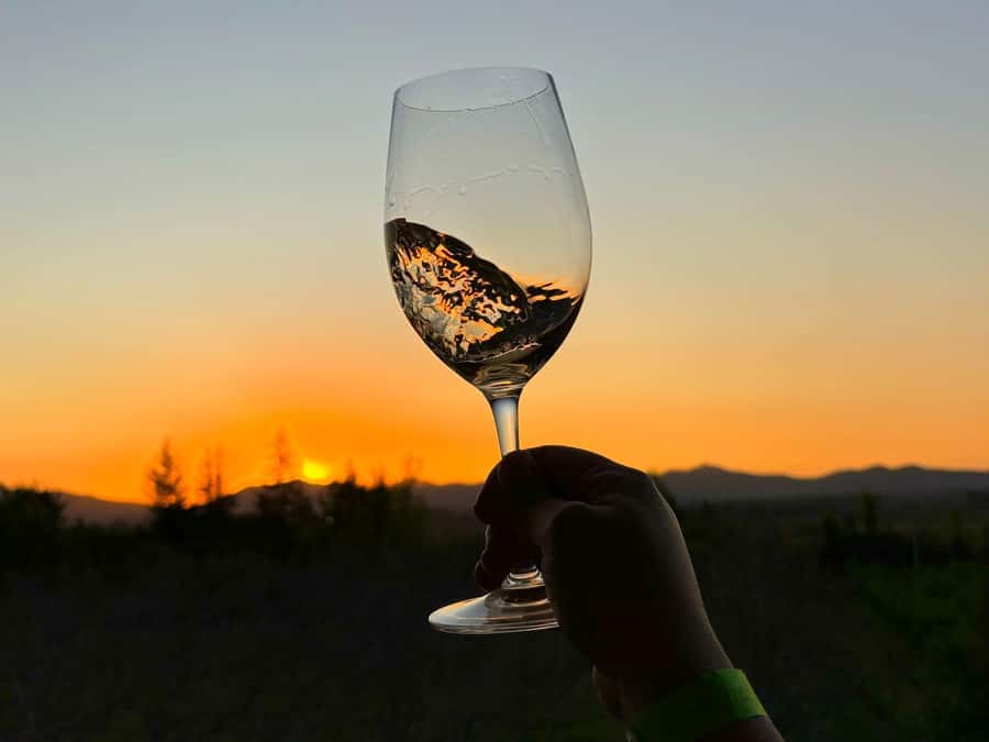 Alyan Family sunset winery - The Winery Shop: Bottles, Gifts, and Easy Souvenirs