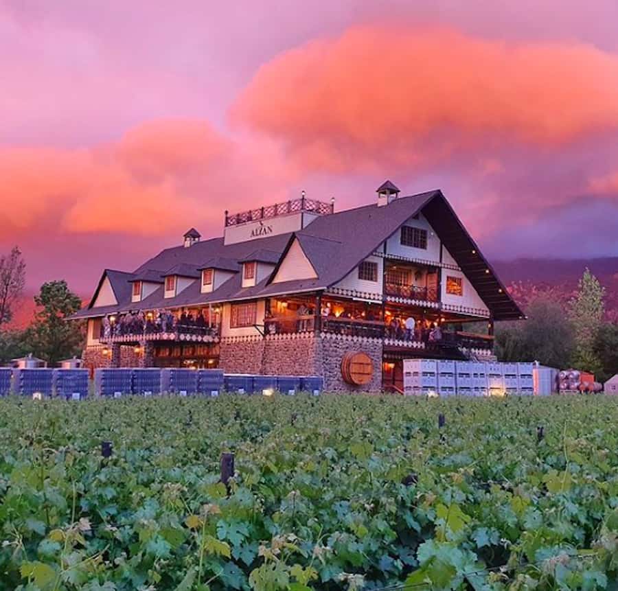 Alyan Family sunset winery - Getting There: Pickup, Van Ride, and Timing