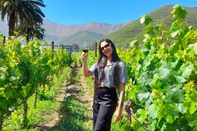 Andes Portillo & Aconcagua wine tour semi private - Laguna del Inca: calm water, mountain air, and a Portillo hotel break
