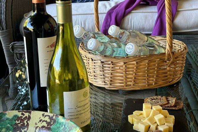 Andes Portillo & Aconcagua wine tour semi private - Timing, comfort, and what to bring for a 7:00 am start