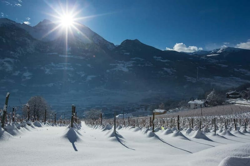 Aosta Valley: Visit and wine tasting at the Grosjean winery - Key Highlights Worth Marking