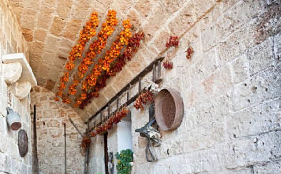 Apulia: Guided Vineyard Tour with Wine Tasting - Key things to know before you go