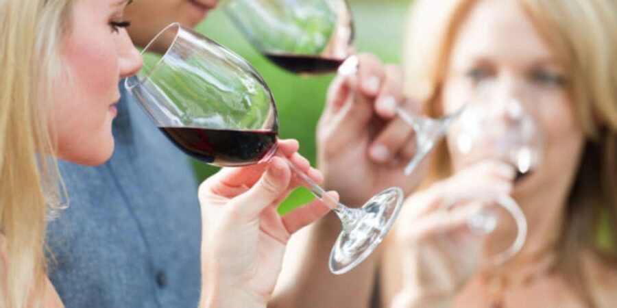 Apulia: Guided Vineyard Tour with Wine Tasting - The pairing: focaccia, taralli, friselline, olive oil, and cured meats