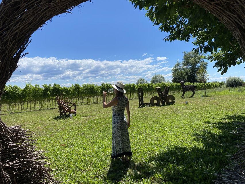 Aquileia: Winery Tour and Tasting - Why Aquileia’s Roman setting matters for wine