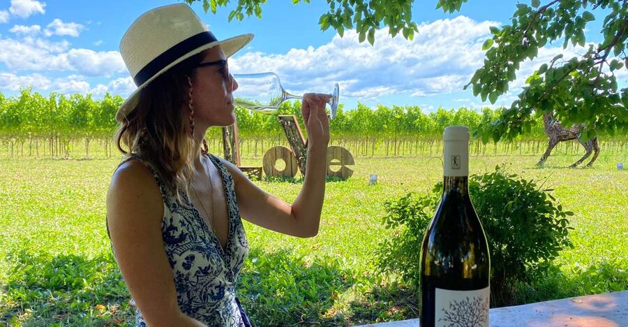 Aquileia: Winery Tour and Tasting - The family winery experience you actually feel (especially with Francesco)