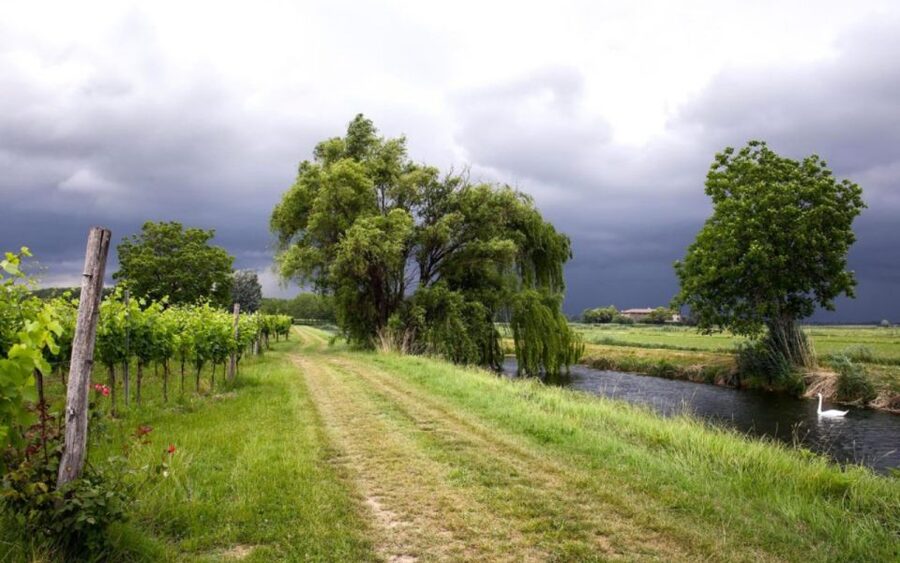 Aquileia: Winery Tour and Tasting - Price and value: is $46 for 5 wines a fair deal?