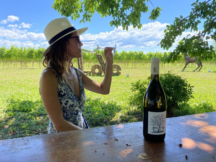 Aquileia: Winery Tour and Tasting - Vineyard walk: cultivation methods you can spot with your own eyes